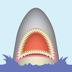 Image showing shark