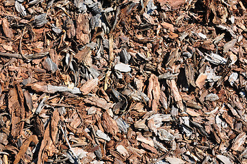 Image showing Bark mulch