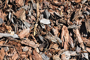 Image showing Bark mulch