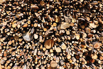 Image showing Wood pile