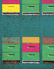 Image showing Colorful hive