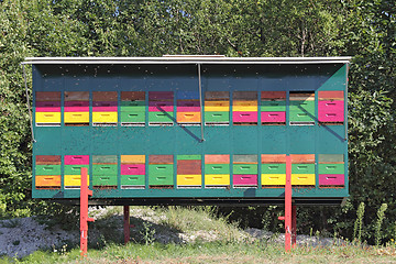 Image showing The hive