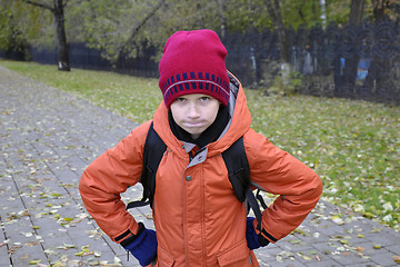 Image showing the teenage boy's portrait in autumn park.