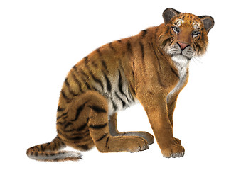 Image showing Big Cat Tiger