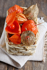 Image showing dry Physalis fruits