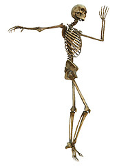 Image showing Dancing Skeleton