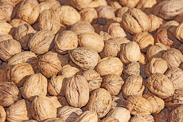Image showing Pile of walnuts