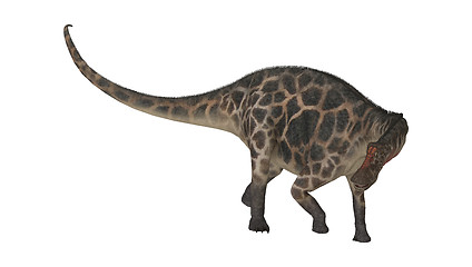 Image showing Dinosaur Dicraeosaurus