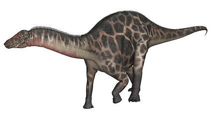 Image showing Dinosaur Dicraeosaurus