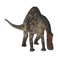 Image showing Dinosaur Dicraeosaurus