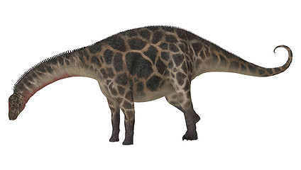 Image showing Dinosaur Dicraeosaurus