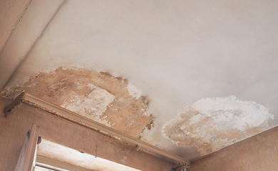 Image showing Damp moisture