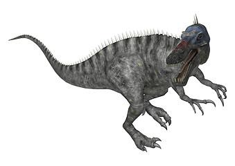 Image showing Dinosaur Suchomimus