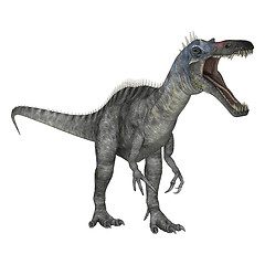 Image showing Dinosaur Suchomimus