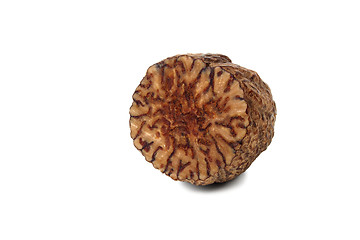 Image showing Nutmeg