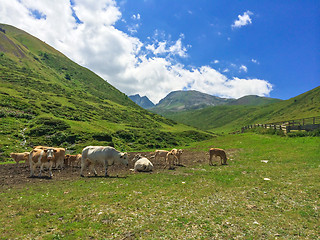 Image showing The Pyrenees mountains in the south of France