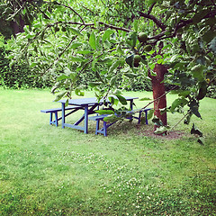 Image showing Wooden table in green summer garden
