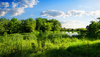 Image showing Nature reserve