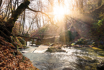 Image showing Little bridge