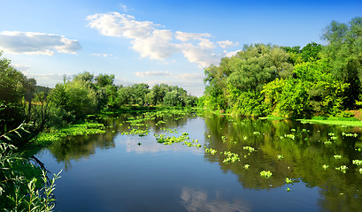 Image showing River and summer