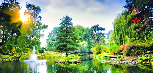 Image showing Bridge in the Japanese  garden