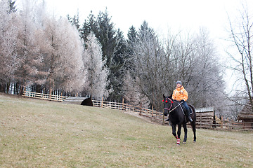 Image showing Girl and horse