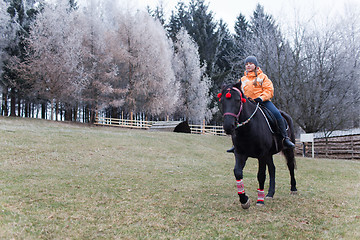 Image showing Girl and horse