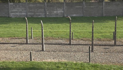 Image showing Fence in Auschwitz