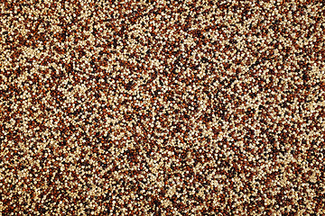 Image showing Mixed red, white and black quinoa background 