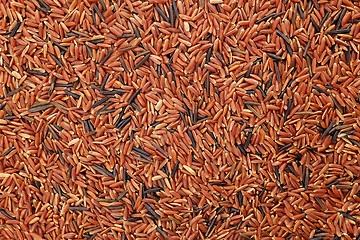 Image showing Camargue red rice grains background 