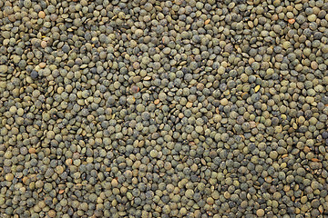 Image showing Dark green lentils background 