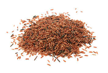 Image showing Camargue red rice grains