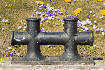 Image showing Double bollard