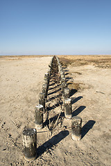 Image showing Wooden poles