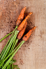 Image showing fresh carrots