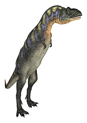 Image showing Dinosaur Aucasaurus