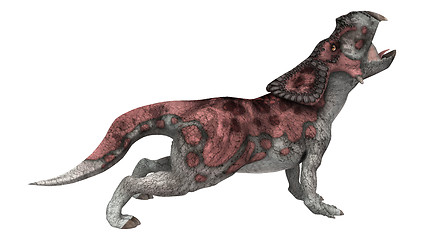 Image showing Dinosaur Protoceratops