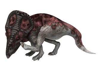 Image showing Dinosaur Protoceratops