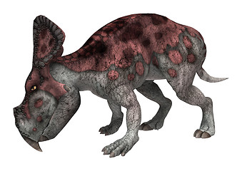 Image showing Dinosaur Protoceratops