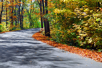 Image showing Fall forest road