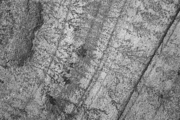 Image showing Intricate fern-like markings on sandstone