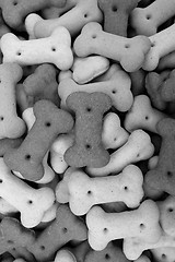 Image showing Mixed dog biscuits 