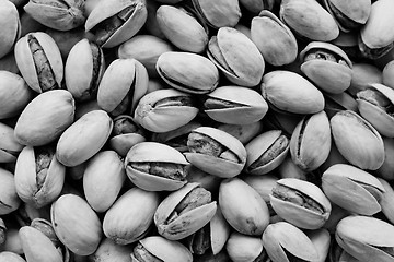 Image showing Roasted and salted pistachios in their shells 
