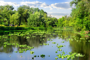 Image showing Summer on river