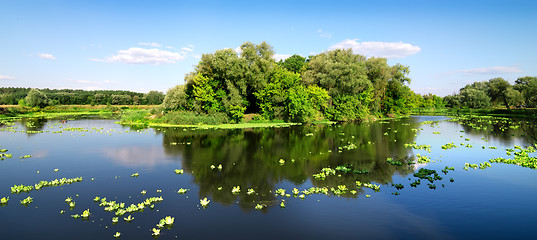 Image showing Island on river