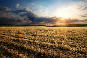 Image showing Sunbeams over field