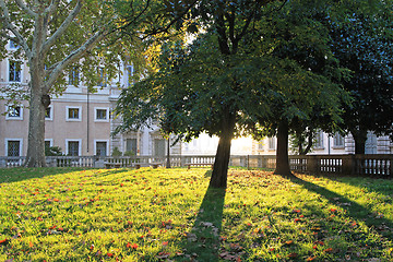 Image showing Afternoon in park