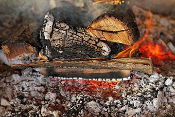 Image showing Log fire