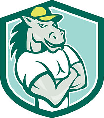 Image showing Horse Arms Crossed Shield Cartoon