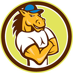 Image showing Horse Arms Crossed Circle Cartoon